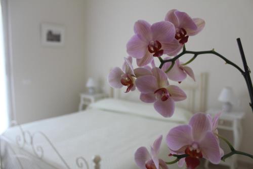 Ein Haufen rosa Blumen auf einem Bett in der Unterkunft B&B Il Giglio Bianco in Sorrent