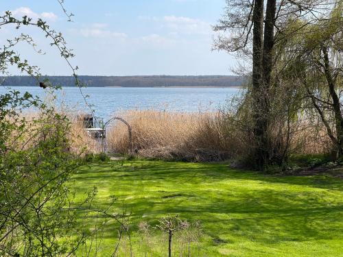 a grassy area with a view of a body of water at Wandlitzsee in Wandlitz
