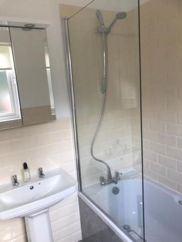 a bathroom with a shower and a sink at The Lodge in Llangollen