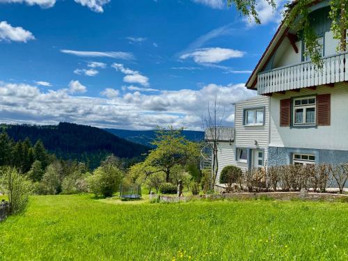a house in a field of green grass at Ferienhaus mit 5* Luxus im Schwarzwald in Gemeinde Aichhalden