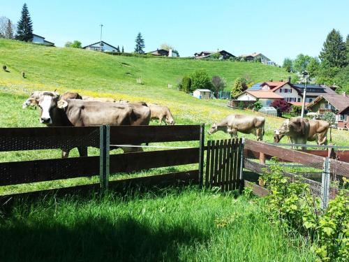 Gallery image of Ferienhaus Herzlich in Scheidegg