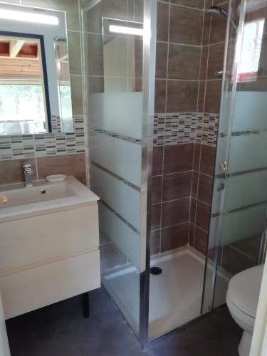 une salle de bain avec une douche, un lavabo et des toilettes dans l'établissement Gîte Granit des Fraux, à Besse-et-Saint-Anastaise