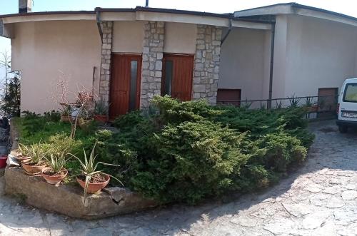 Κήπος έξω από το Collina Belvedere, appartamento indipendente in villa Salerno-Capezzano
