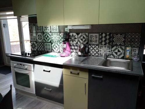 uma cozinha com um lavatório e um fogão em Appartement terrasse +parking em Vieille-Brioude