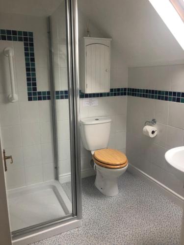 a bathroom with a toilet and a shower and a sink at Kellsboro Corner in Fairford
