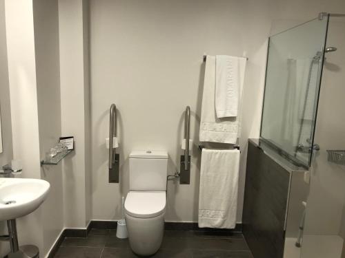 a bathroom with a toilet and a sink at Olarain in Donostia-San Sebastián