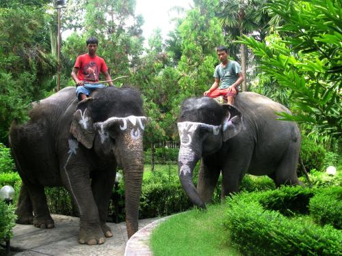 two men riding on the backs of two elephants at Jungle Safari Resort in Sauraha