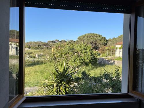 a window with a view of a garden at B&B Casa Gianfranca in Portoferraio