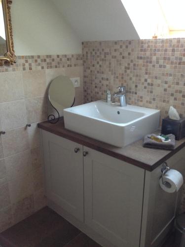 ein Badezimmer mit einem weißen Waschbecken und einem Spiegel in der Unterkunft B&B Droomzoet in Herentals