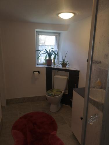 a bathroom with a toilet and a window with plants at Ferienhaus Salmtal Himmerod in Großlittgen