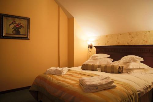 Postel nebo postele na pokoji v ubytování Hotel Foisorul cu Flori