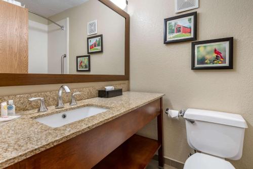 a bathroom with a sink and a toilet and a mirror at Comfort Inn Near Kokomo Speedway in Kokomo