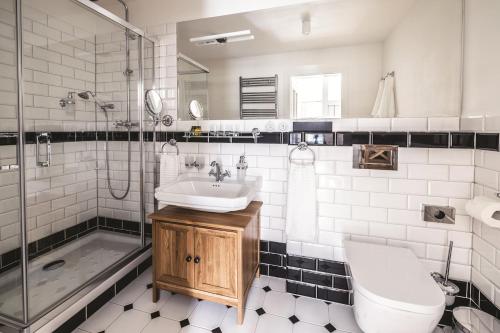 a bathroom with a sink and a toilet and a shower at Vila Čapek in Branžež