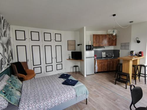 un salon avec un lit et une cuisine dans l'établissement Jungle studio Gex - Ski - Netflix, à Gex