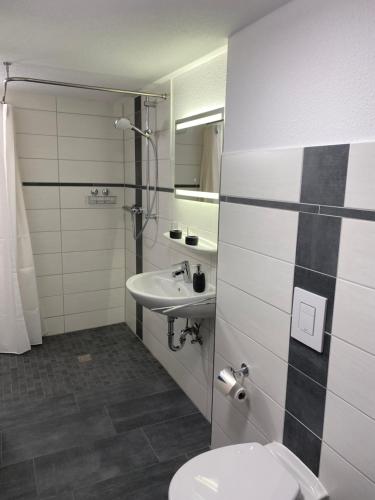 a bathroom with a toilet and a sink at Zum Mathildenbrunnen in Quedlinburg