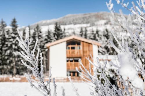 a log cabin in the snow with trees at Lichtung Woldererhof Wiesenduft in Casateia