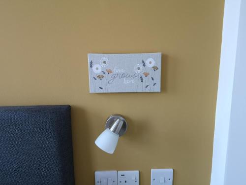 a light on a wall with a flower picture on it at Mandela House Apartments in Kirkcaldy