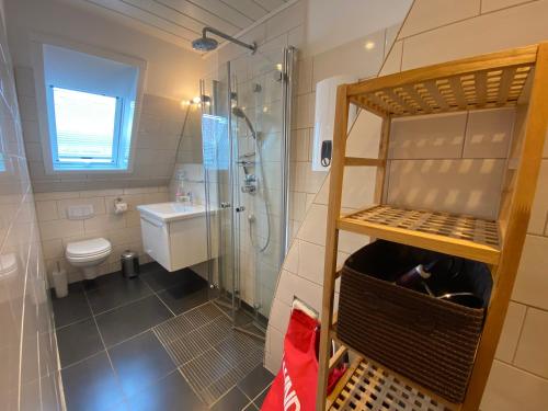 ein Bad mit einer Dusche, einem WC und einem Waschbecken in der Unterkunft Strandkrabbe in Wyk auf Föhr