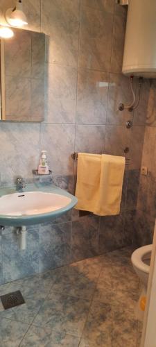 a bathroom with a sink and a shower at Apartmani Nikica in Drage