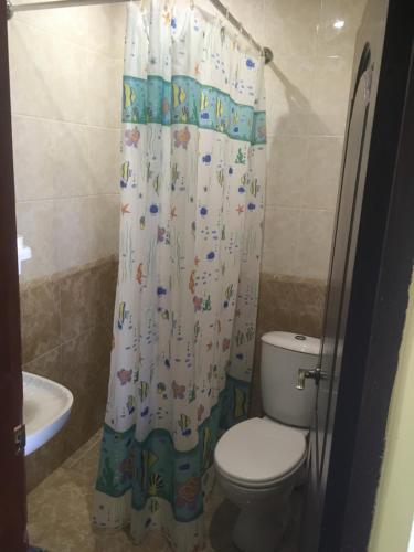 ヴィチャゼヴォにあるGuest House LUIZAのバスルーム(トイレ、シャワーカーテン付)