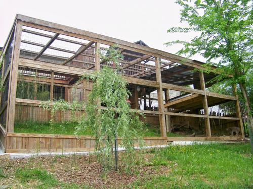 Private Pet Friendly Home Near Exotic Deer Farm Close to Pigeon Forge, Gatlinburg TN photo 27