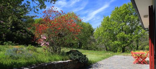une cour avec un banc rouge et un arbre avec des fleurs rouges dans l'établissement Aux Arbres Chanteurs, à Ploulech
