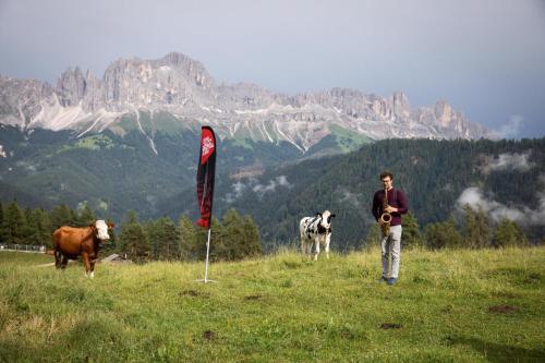 a man is standing in a field with two cows at Ansitz Velseck-Residence Hotel in Tires