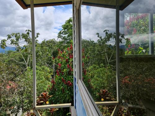 a view from a window of a garden with flowers at Villas Valle Bello in Ujarrás