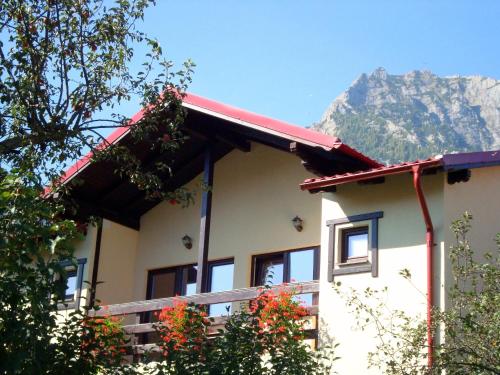 a house with a mountain in the background at Casa cu Flori in Buşteni