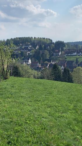a field of green grass with a town in the background at Ferienwohnung Kleine Auszeit in Altenau in Altenau