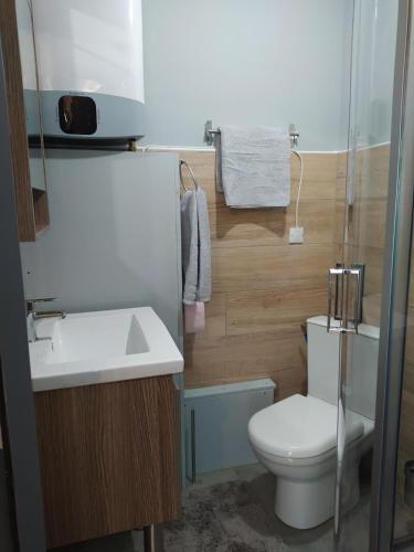 y baño con aseo y lavamanos. en Studio27, en Montredon-Labessonnié