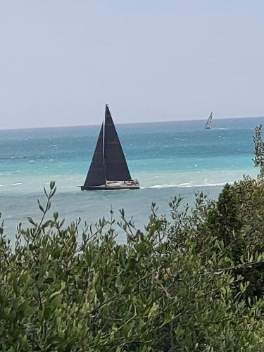 a sailboat in the ocean with a boat in the water at IL LEUDO in Lavagna
