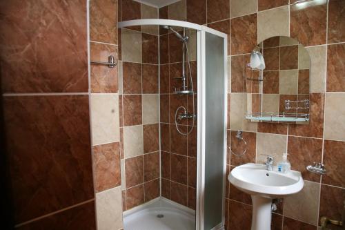 ein Badezimmer mit Dusche und Waschbecken in der Unterkunft Pensiunea Daiana in Frasin