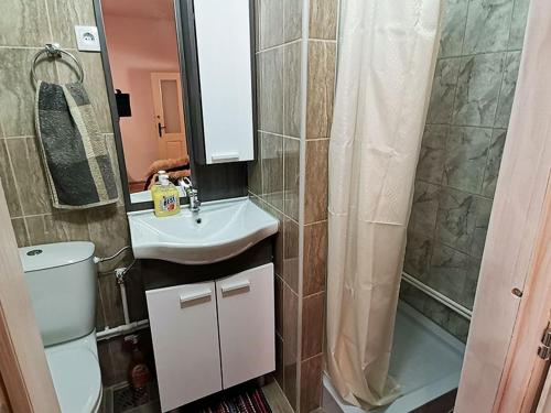 a bathroom with a toilet and a sink and a shower at "Pivnica i smestaj Jovanovic"- Rogljevacke pivnice in Rogljevo