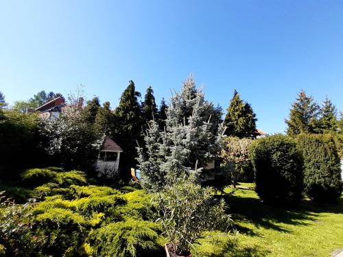 a garden with green grass and trees and bushes at Fődi apartman in Zalakaros
