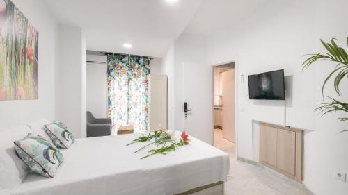 Guesthouse Room & Studio Seville La Flamenka