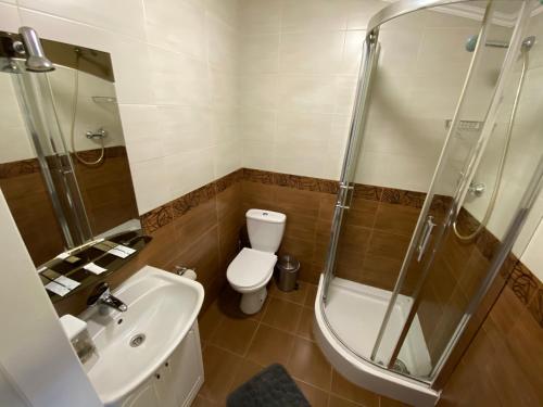 a bathroom with a shower and a toilet and a sink at Ковчег in Chernivtsi