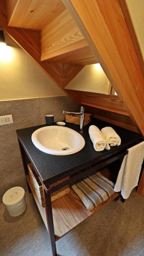 a bathroom with a sink and a counter with towels at Una casa tra gli alberi in Tresivio