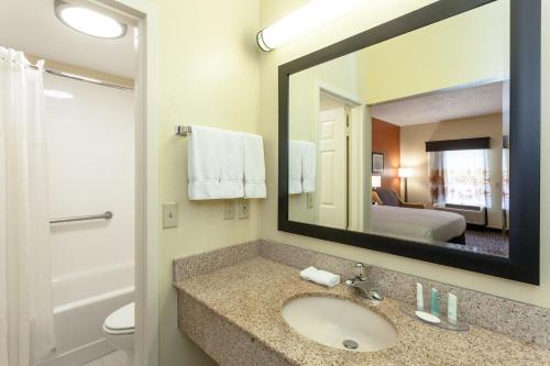 a bathroom with a sink and a large mirror at Clarion Inn Biltmore Village in Asheville