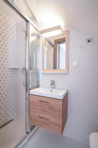 a bathroom with a sink and a shower at Błękitne Wzgórze - Nowoczesne Pokoje Gościnne in Władysławowo