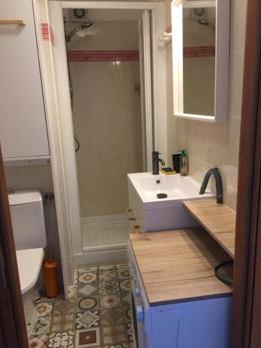 une salle de bain avec un lavabo, une douche et des toilettes dans l'établissement Corse Appartement vue mer - Linguizzetta - Marine de Bravone, à Linguizzetta