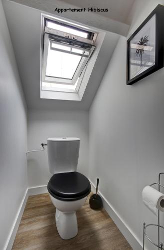 a bathroom with a black toilet with a skylight at Appartements de caractère centre in Vannes