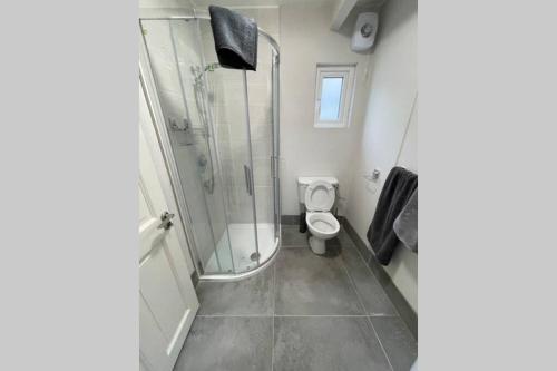 a bathroom with a shower and a toilet at Red fox chalet on the Ring of Kerry in Glenbeigh