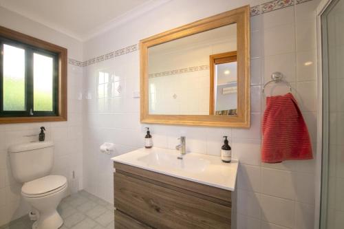 a bathroom with a sink and a toilet and a mirror at East Jindabyne- Cavallino 4 bedroom home in Jindabyne