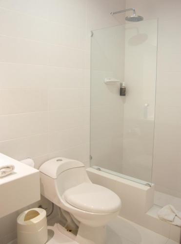 a white bathroom with a toilet and a shower at Hotel Carvallo in Cuenca