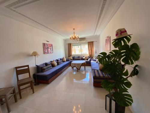 a living room with a blue couch and a plant at Sweet Jacob's Apartments 10 & 14 in Fez