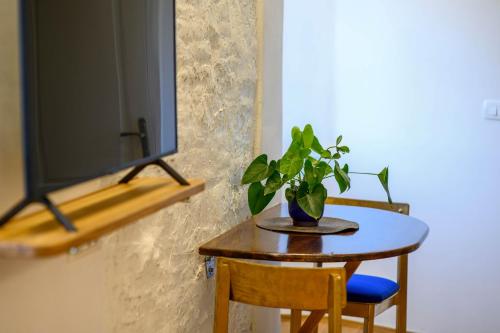 a small table with a potted plant on top of it at On the Rock Apartments in Šibenik
