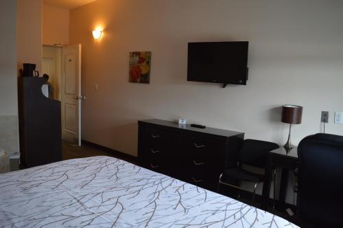 TV a/nebo společenská místnost v ubytování Auberge MacDonald Guest Inn