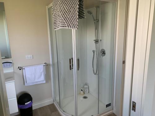 y baño con ducha y puerta de cristal. en Brixton farm stay, en Waitara