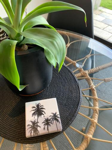 a plant in a black vase sitting on a table at Oceanscape ~ OCEAN VIEWS Uninterrupted in Portland